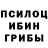 Псилоцибиновые грибы GOLDEN TEACHER Ado Berikbol