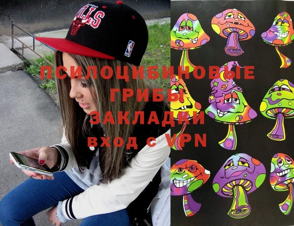 дживик Абаза