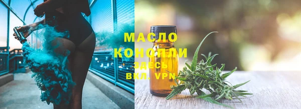дживик Абаза