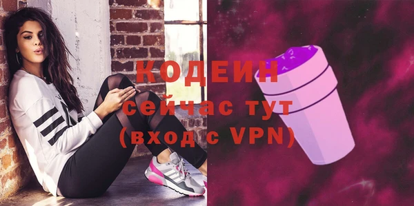 дживик Абаза