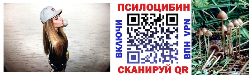 omg зеркало  Кировград  Псилоцибиновые грибы Magic Shrooms 
