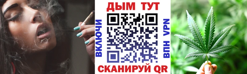 Каннабис семена  наркошоп  Кировград 